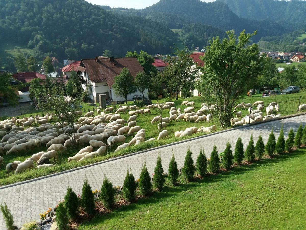 Pokoje U Celinki Szczawnica Dış mekan fotoğraf